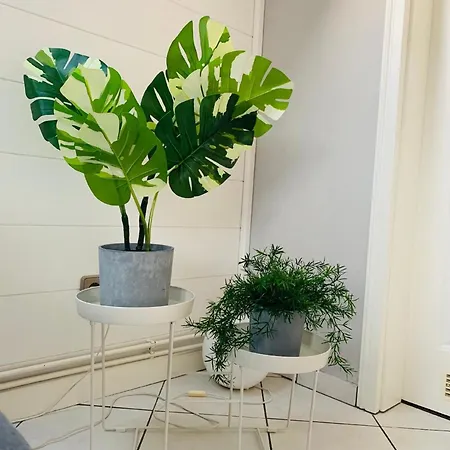 Moderne Hundefreundliche Ferienwohnung Mit Balkon Und Blick Auf Den Nordseedeich Mit Wlan شقة
